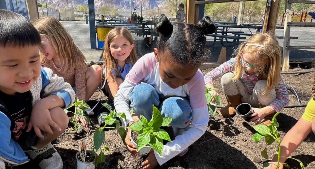 Students at Blue Diamond Elementary School learn about nature in the school garden.